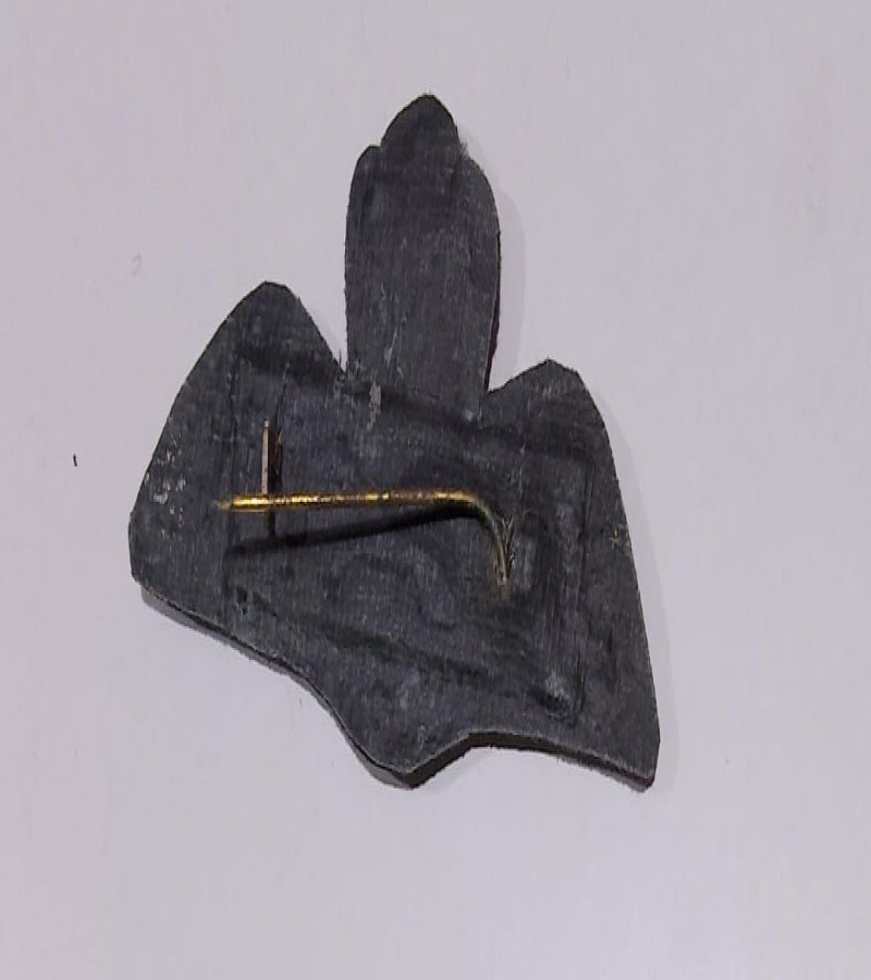 Indian Navy Pilot Wings